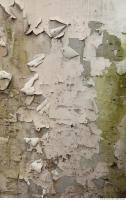 Walls Plaster 0025